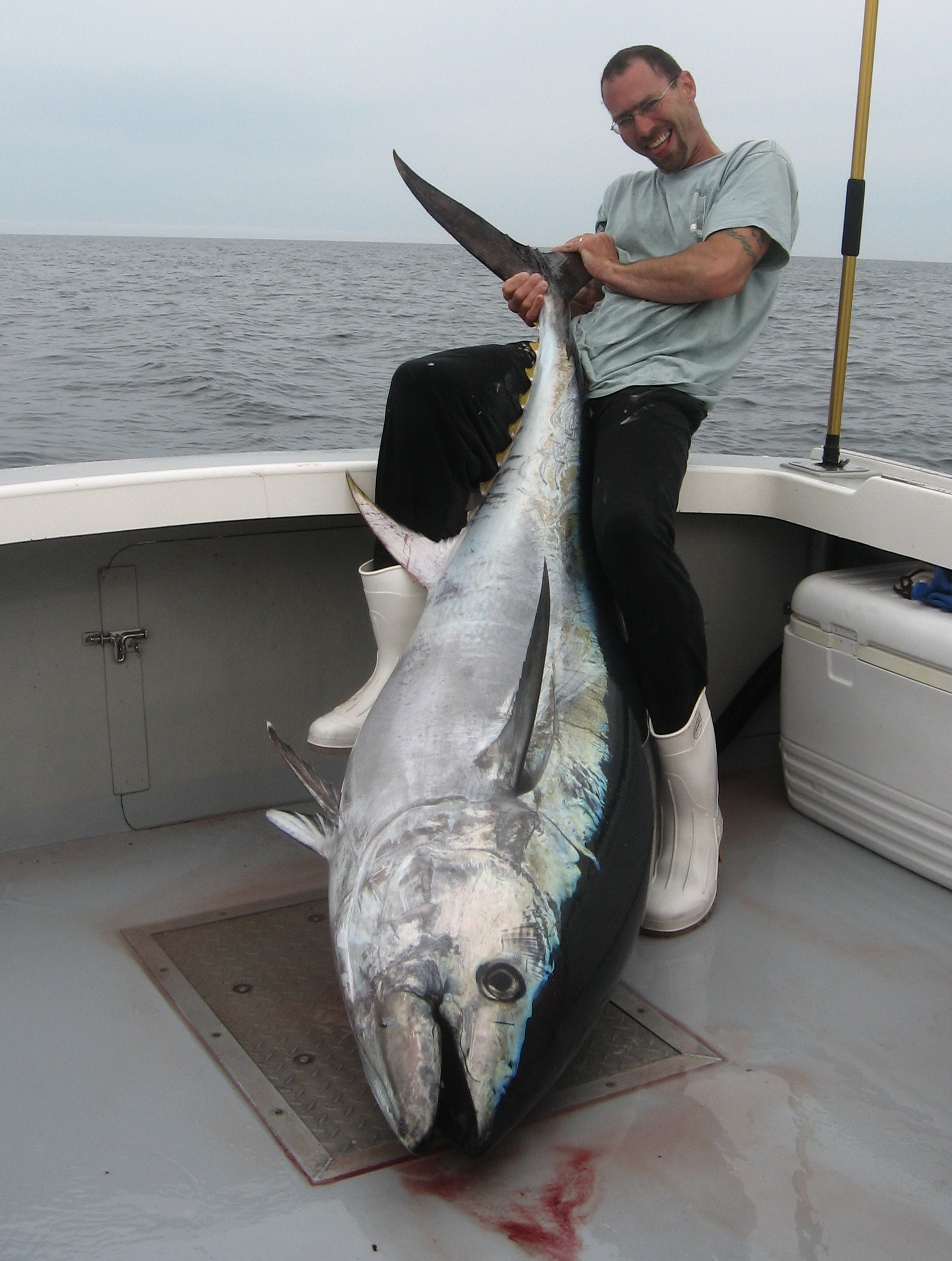 kerry Miller with a 77" Bluefin tuna caught June 5th 2009