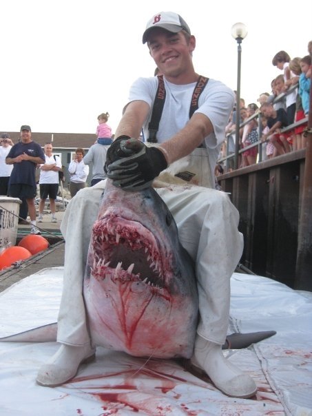 Shark Fishing Charters in Massachusetts. Fishing charter boats for
